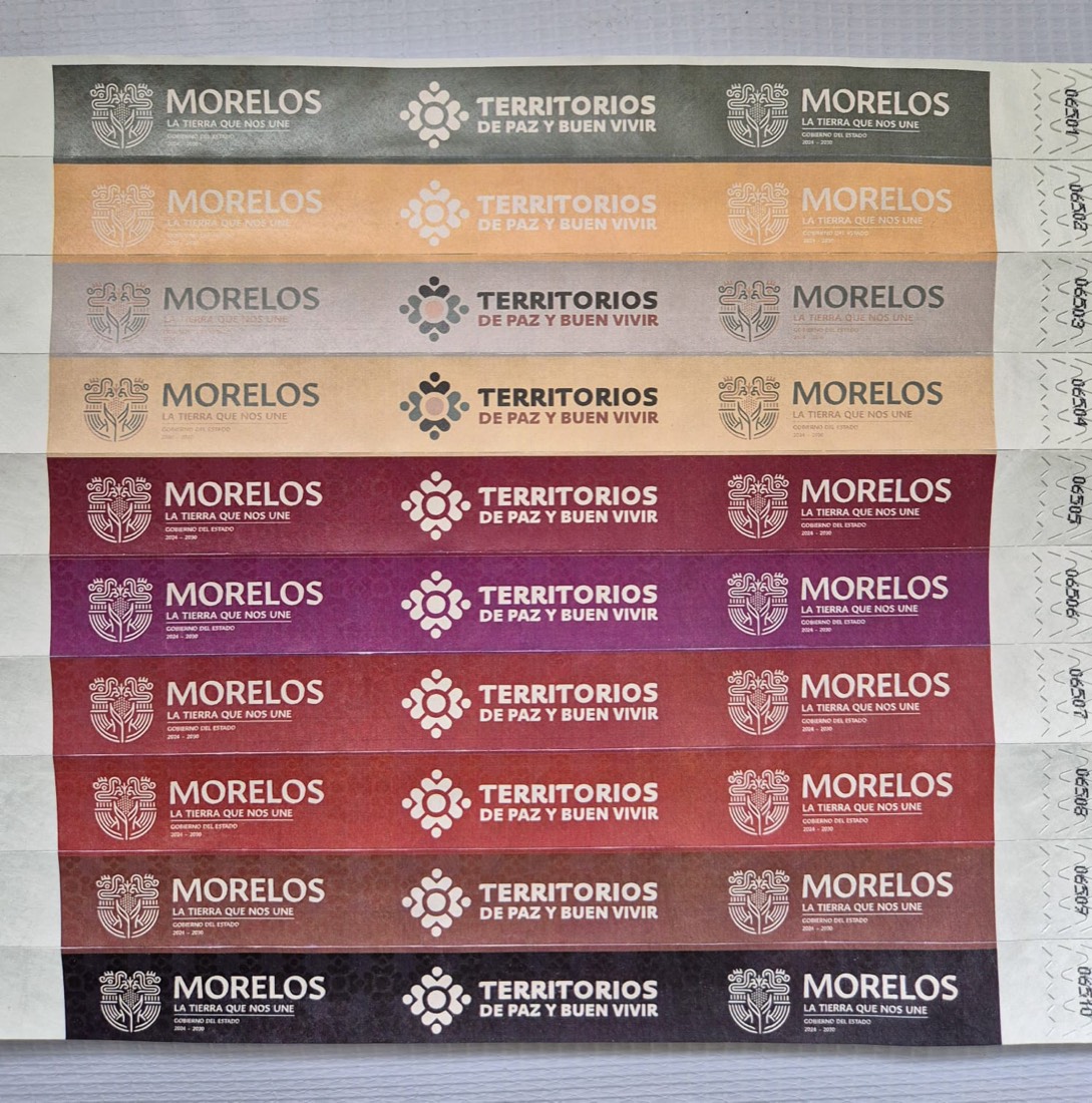 Diez brazaletes Tyvek de colores con logotipos institucionales del Gobierno de Morelos y folio consecutivo